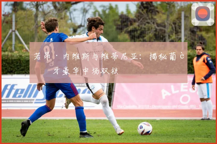 若昂·内维斯与维蒂尼亚:揭秘葡萄牙豪华中场双核