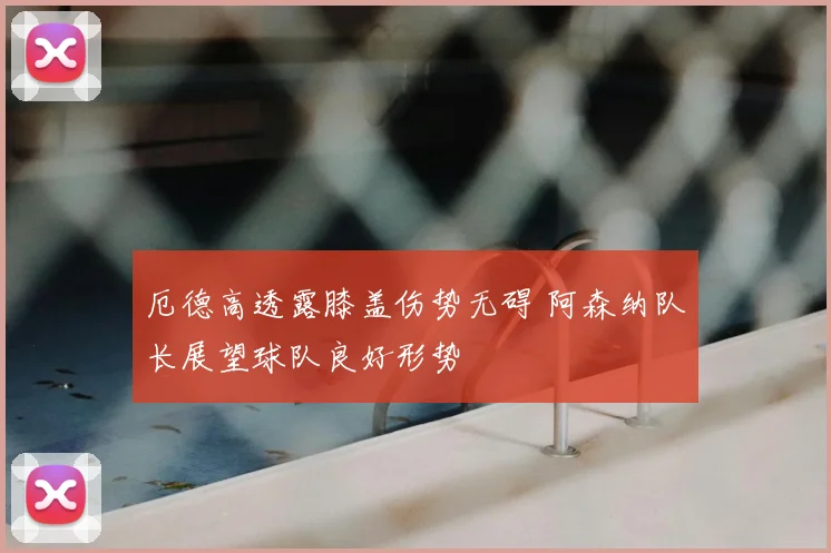 厄德高透露膝盖伤势无碍 阿森纳队长展望球队良好形势