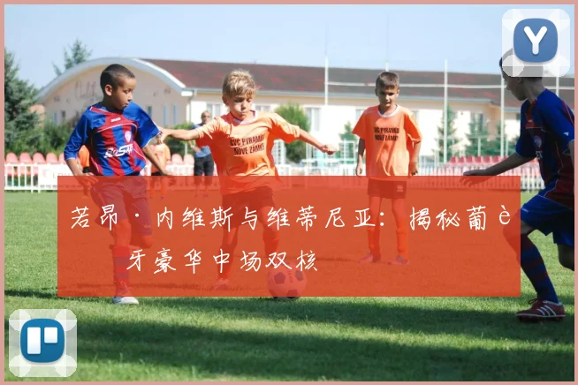 若昂·内维斯与维蒂尼亚：揭秘葡萄牙豪华中场双核